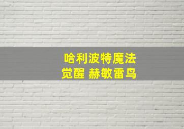 哈利波特魔法觉醒 赫敏雷鸟